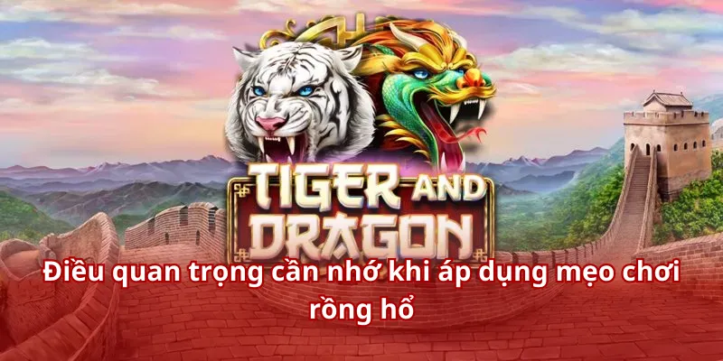 Mẹo Chơi Rồng Hổ - Bí Kíp Thắng Nhanh Thưởng Lớn Cho Hội Viên 4 Điều quan trọng cần nhớ khi áp dụng mẹo chơi rồng hổ