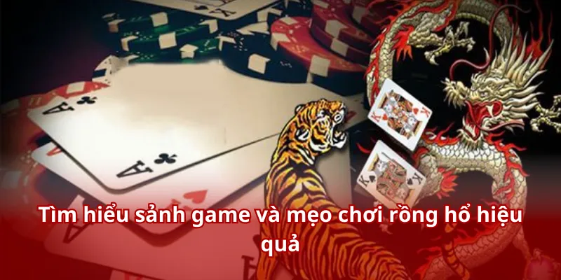 Mẹo Chơi Rồng Hổ - Bí Kíp Thắng Nhanh Thưởng Lớn Cho Hội Viên 2 Tìm hiểu sảnh game và mẹo chơi rồng hổ hiệu quả