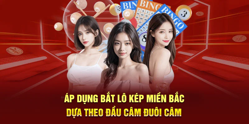 Bắt Lô Kép Miền Bắc - Các Phương Pháp Bắt Lô Hiệu Quả Cho Newbie 3 Áp dụng bắt lô kép miền Bắc dựa theo đầu câm đuôi câm