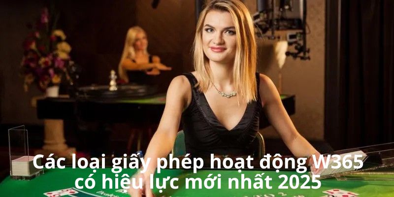 Giấy Phép Hoạt Động W365 2 Các loại giấy phép hoạt động W365 có hiệu lực mới nhất 2025