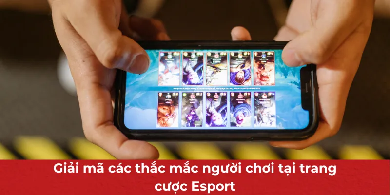 Trang Cá Cược Esport Uy Tín - Cập Nhật Mọi Tin Tức Thể Thao Điện Tử 4 Giải mã các thắc mắc người chơi tại trang cược Esport