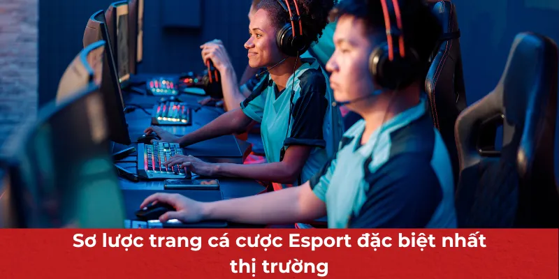 Trang Cá Cược Esport Uy Tín - Cập Nhật Mọi Tin Tức Thể Thao Điện Tử 2 Sơ lược trang cá cược Esport đặc biệt nhất thị trường