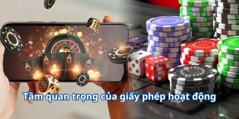 Giấy Phép Hoạt Động W365 1 Tầm quan trọng của giấy phép hoạt động W365